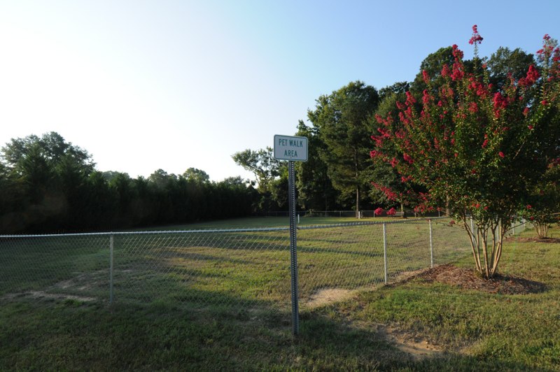 Fenced recreation area