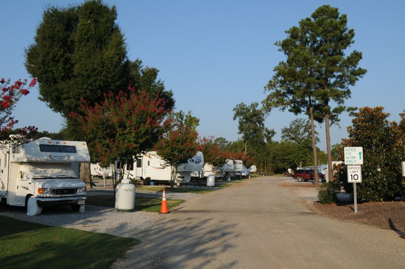 Pull-through sites along the park road