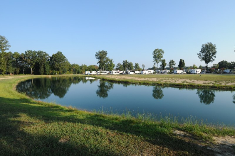A view across the pond