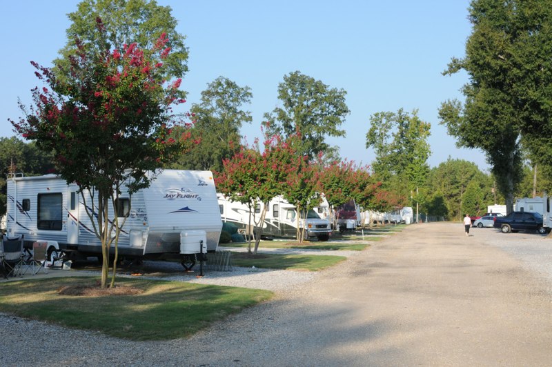 A drive through the park